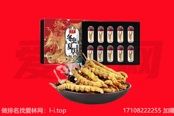 鹿邑县回收虫草.jpg